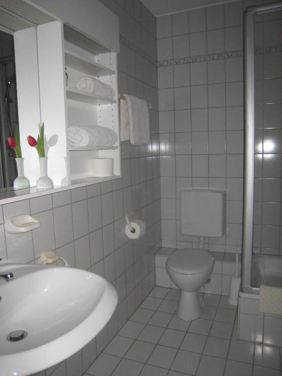 Zum Floesser Neckartenzlingen 部屋 写真
