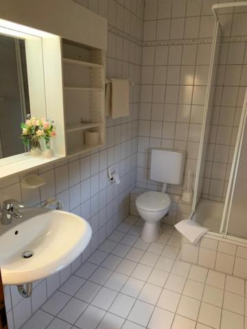 Zum Floesser Neckartenzlingen エクステリア 写真